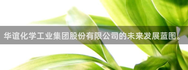 球盟会中国官方网站：华谊化学工业集团股份有限公司的未来发展蓝
