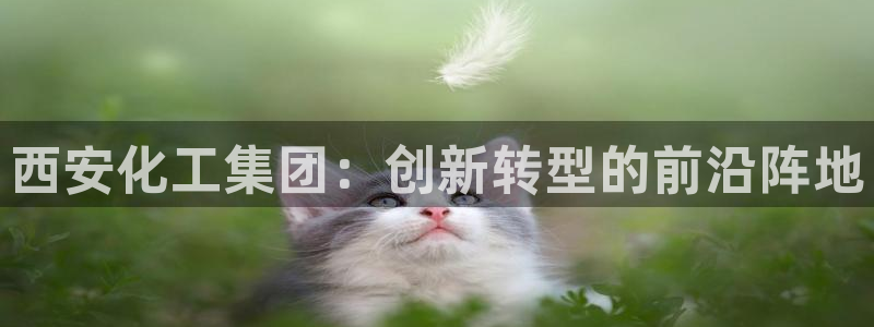 球盟会登陆中心：西安化工集团：创新转型的前沿阵地