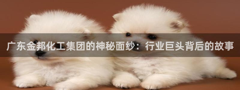 球盟会官网入口