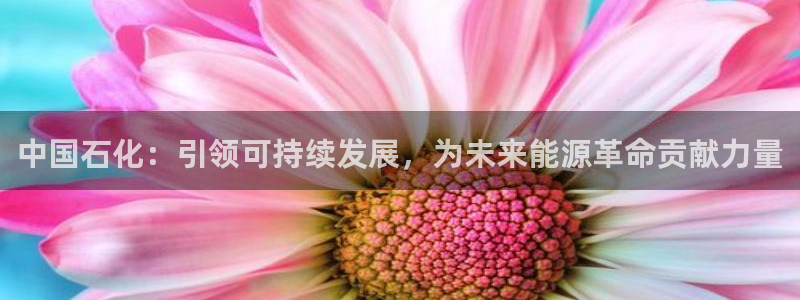 球盟会福利码2023最简单三个步骤：中国