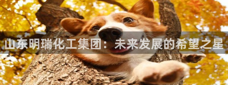 球盟会登录平台入口：山东明瑞化工集团：未来发展的希望之星