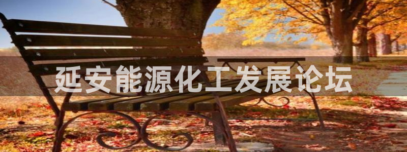 球盟会头号玩家：延安能源化工发展论坛
