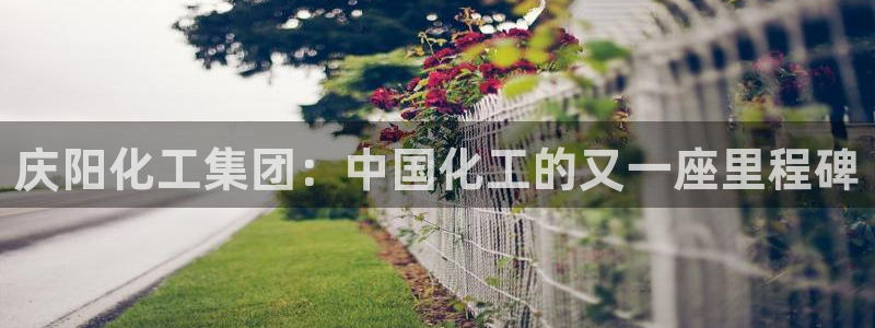 球盟会qmh网址：庆阳化工集团：中国化工