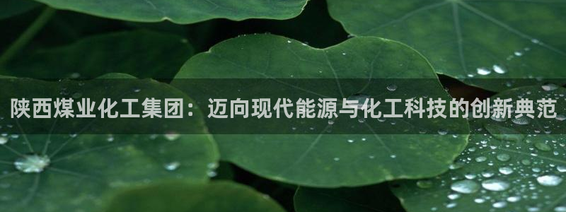 球盟会官网：陕西煤业化工集团：迈向现代能