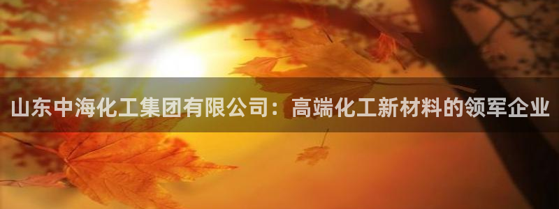 千亿球盟会：山东中海化工集团有限公司：高