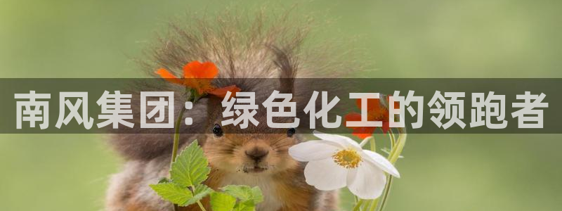 球盟会网页登录app下载地址：南风集团：绿色化工的领跑者