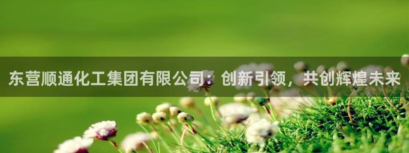 球盟会平台怎么样：东营顺通化工集团有限公司：创新引领，共创辉