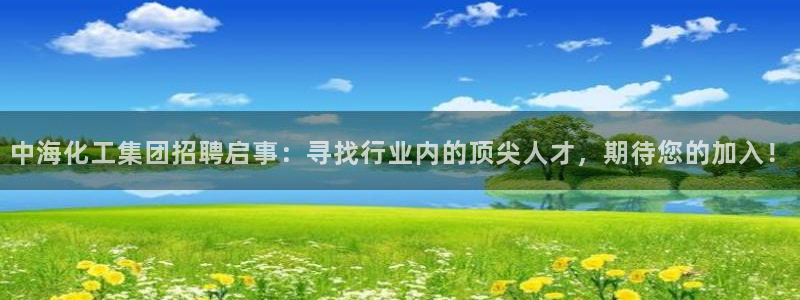 球盟会提款支付宝怎么样：中海化工集团招聘启事：寻找行业内的顶