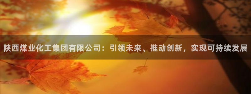 球盟会官方入口：陕西煤业化工集团有限公司：引领未来、推动创新