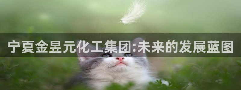 球盟会qmh网页版登录 - qm球盟会官方网站：宁夏金昱元化