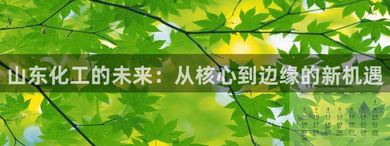 球盟会邮箱：山东化工的未来：从核心到边缘的新机遇
