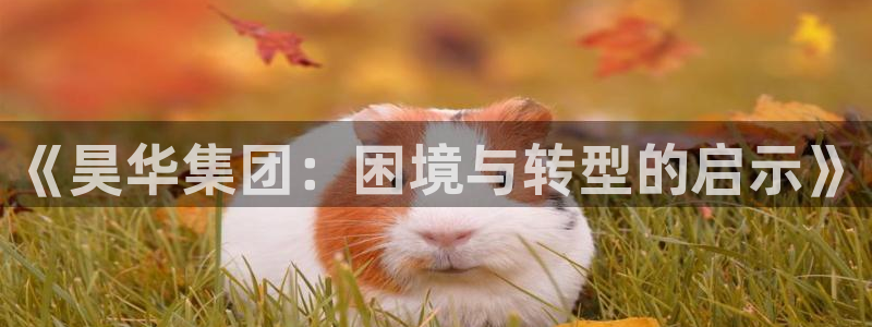 球盟会可以提现么现在：《昊华集团：困境与转型的启示》