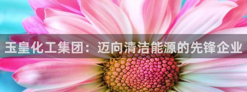 球盟会网页登录app下载地址：玉皇化工集团：迈向清洁能源的先
