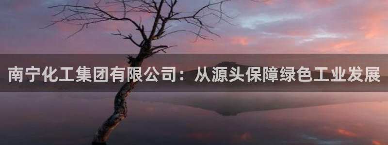 球盟会app最新地址在哪里：南宁化工集团