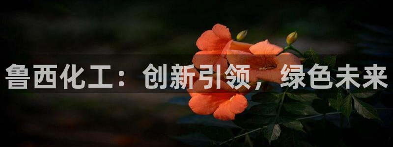 球盟会app最新地址在哪找：鲁西化工：创新引领，绿色未来
