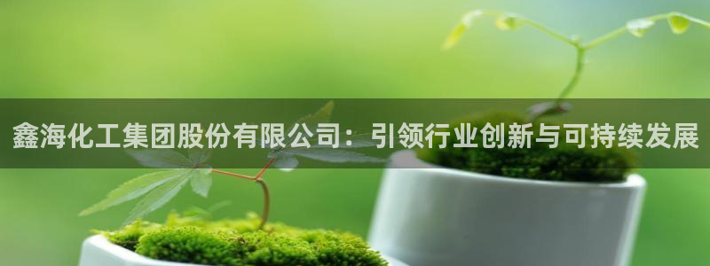 球盟会登录平台入口：鑫海化工集团股份有限公司：引领行业创新与