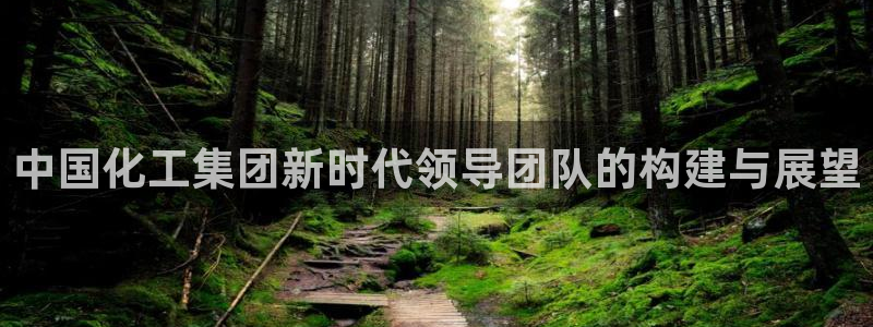 球盟会几点玩合适：中国化工集团新时代领导团队的构建与展望