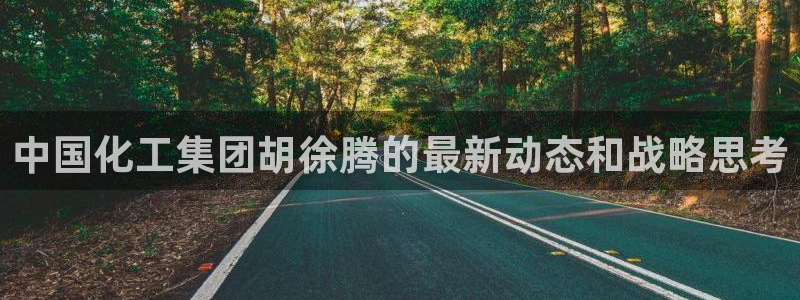 球盟会官方平台入口：中国化工集团胡徐腾的最新动态和战略思考