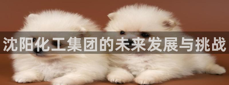 球盟会有没有黑单的球员