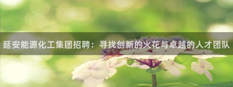 球盟会下款快吗