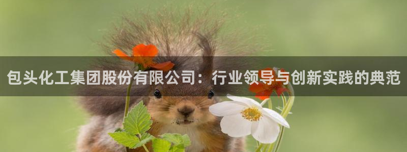 球盟会邮箱
