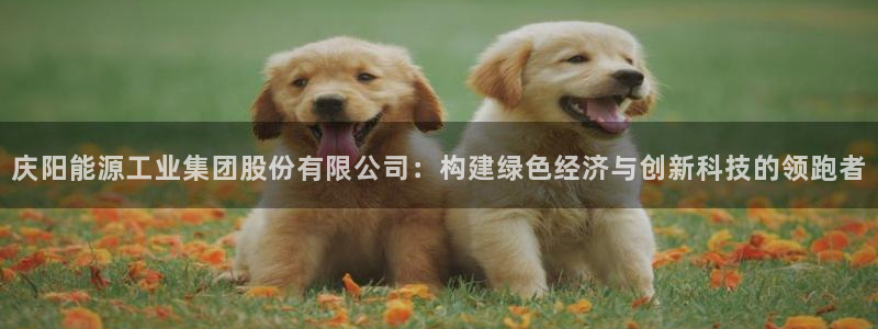 球盟会qm8597