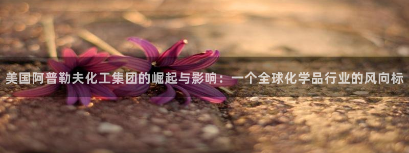 球盟会登陆中心