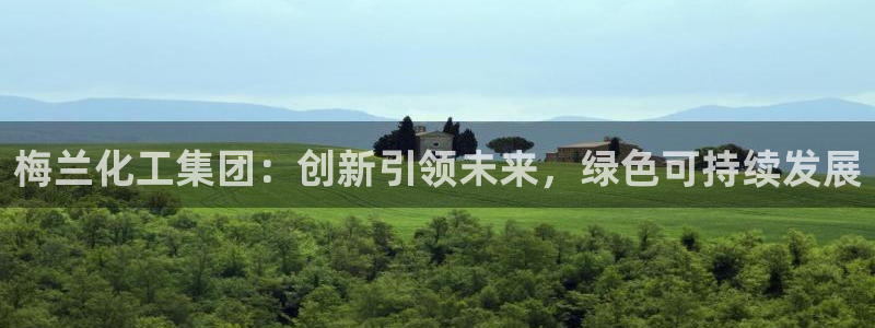 球盟会网址多少：梅兰化工集团：创新引领未