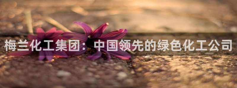 球盟会综合体育平台：梅兰化工集团：中国领