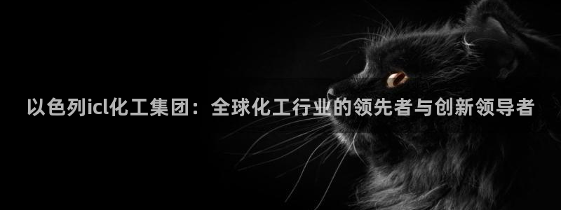 球盟会里面有打牌的嘛知乎