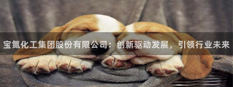 球盟会官方