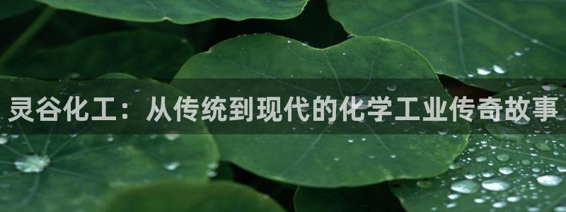 球盟会官方网站：灵谷化工：从传统到现代的