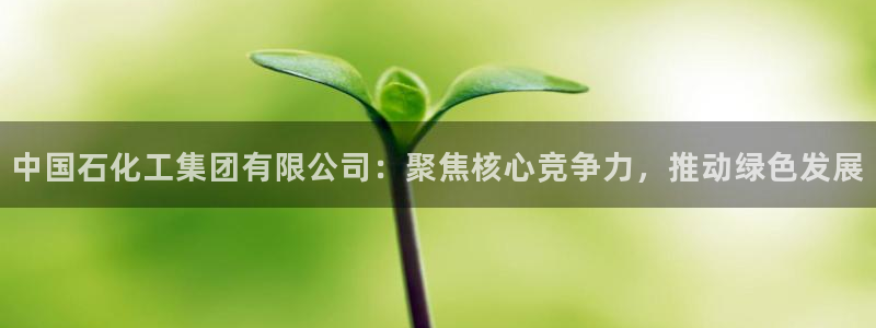球盟会最新活动：中国石化工集团有限公司：