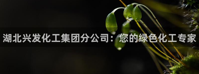 球盟会地址：湖北兴发化工集团分公司：您的
