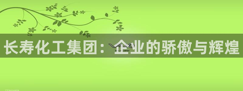 球盟会app最新地址下载：长寿化工集团：企业的骄傲与辉煌