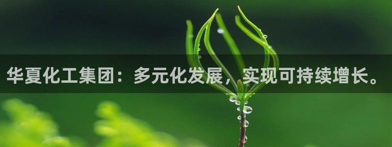 球盟会能退钱吗是真的吗：华夏化工集团：多元化发展，实现可持续