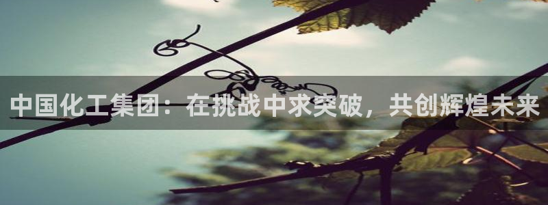 球盟会APP下载：中国化工集团：在挑战中求突破，共创辉煌未来