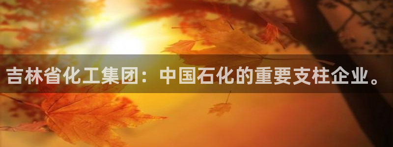 球盟会app最新地址在哪看：吉林省化工集团：中国石化的重要支