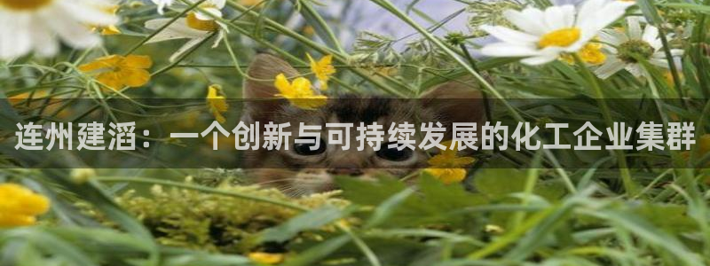 球盟会官方网站入口：连州建滔：一个创新与可持续发展的化工企业