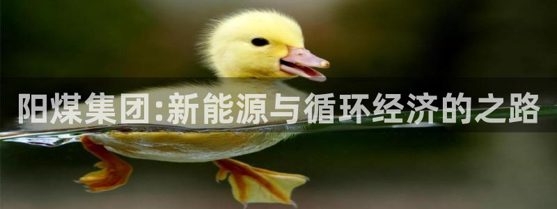 球盟会qm：阳煤集团:新能源与循环经济的之路