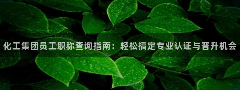 球盟会娱乐平台：化工集团员工职称查询指南：轻松搞定专业认证与