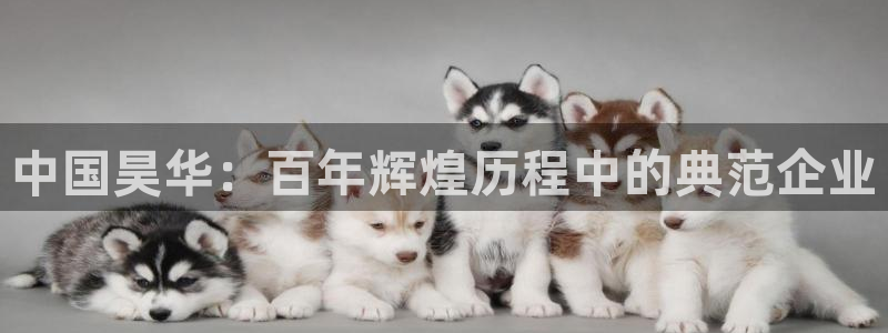 球盟会最新活动