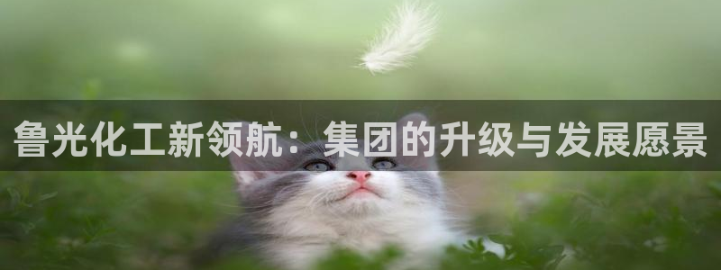 球盟会qm8597
