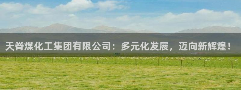 球盟会电子