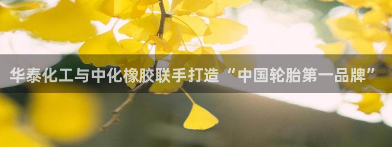 球盟会邮箱