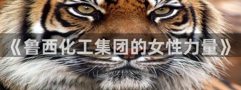 球盟会网页登录：《鲁西化工集团的女性力量》