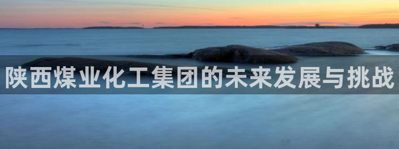 球盟会官方最新入口：陕西煤业化工集团的未来发展与挑战