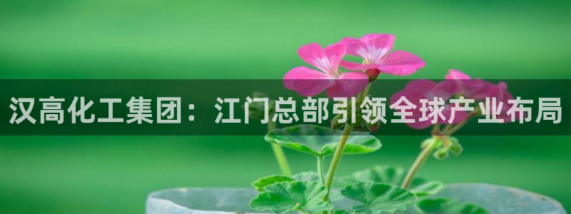 球盟会网页版登陆