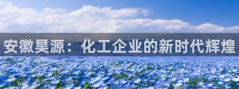 球盟会黑款吗知乎小说：安徽昊源：化工企业的新时代辉煌