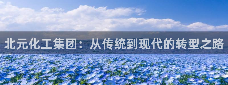 球盟会登录网址